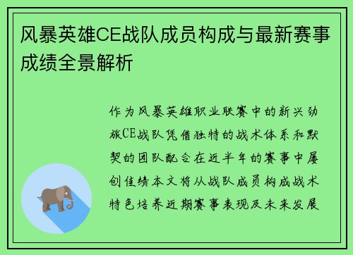 风暴英雄CE战队成员构成与最新赛事成绩全景解析